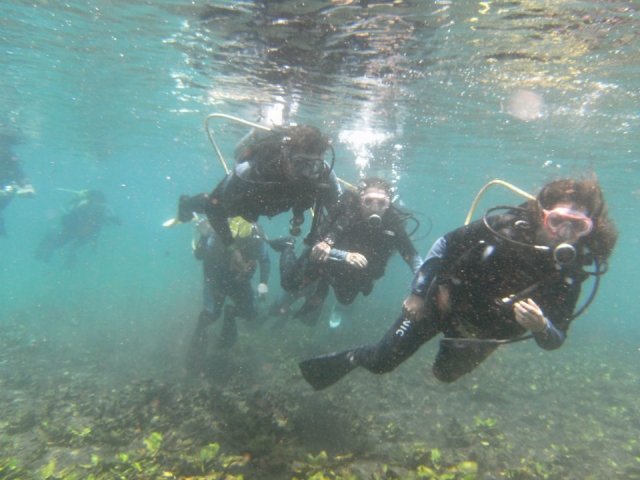 Buceo en grupo